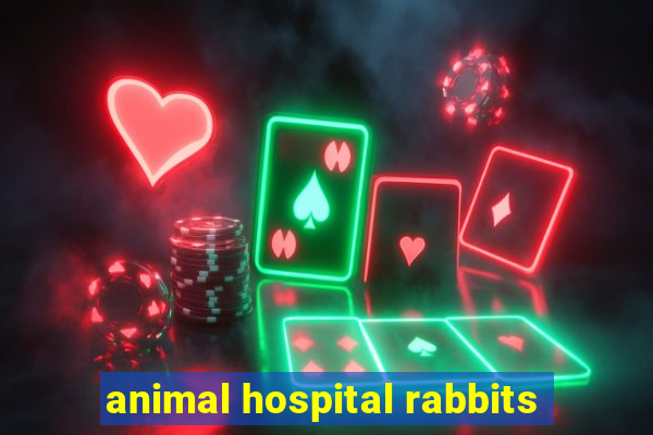 animal hospital rabbits